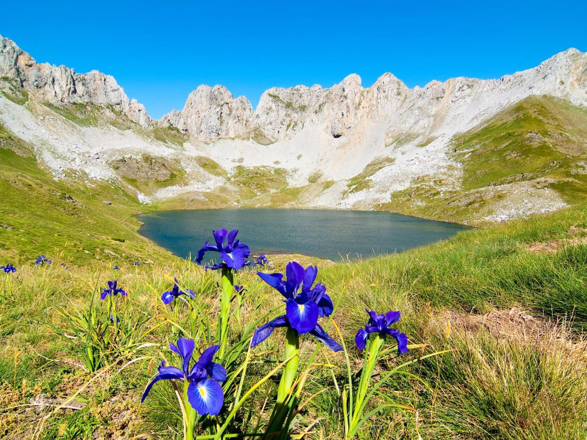 Bungalows Y Cabanas Solopuent Natur Кастьельо-де-Хака Экстерьер фото
